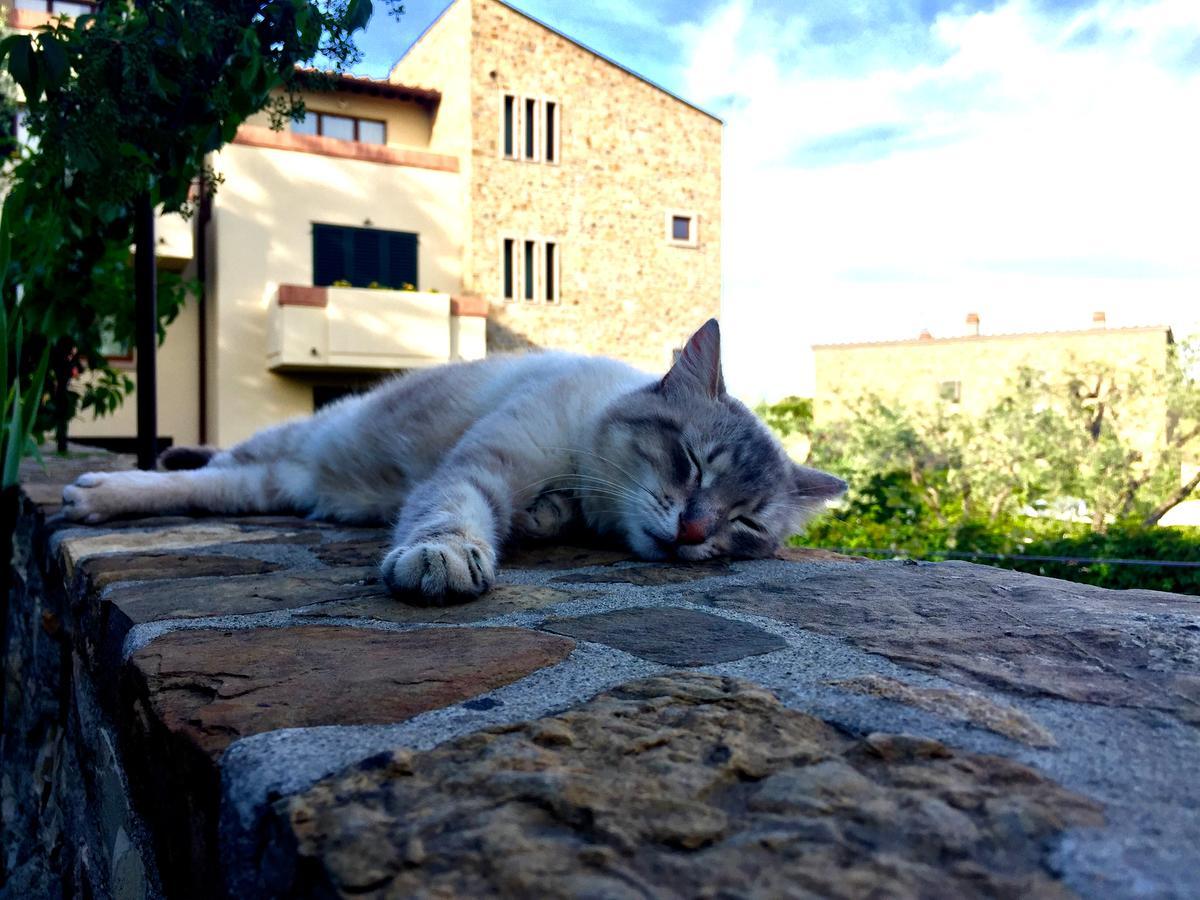 La Compagnia Del Chianti Aparthotel San Donato in Poggio Exterior foto